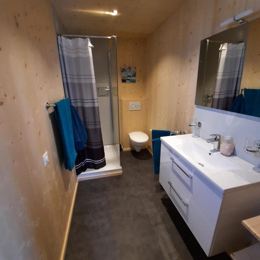 Aktien 11 / A=Obere Wohnung / B=Untere Wohnung Sils im Domleschg Экстерьер фото